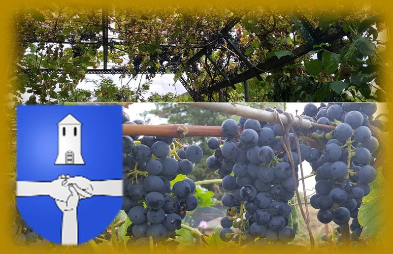 Sirop de raisin rouge<br/>Bouteille de 5 Dl