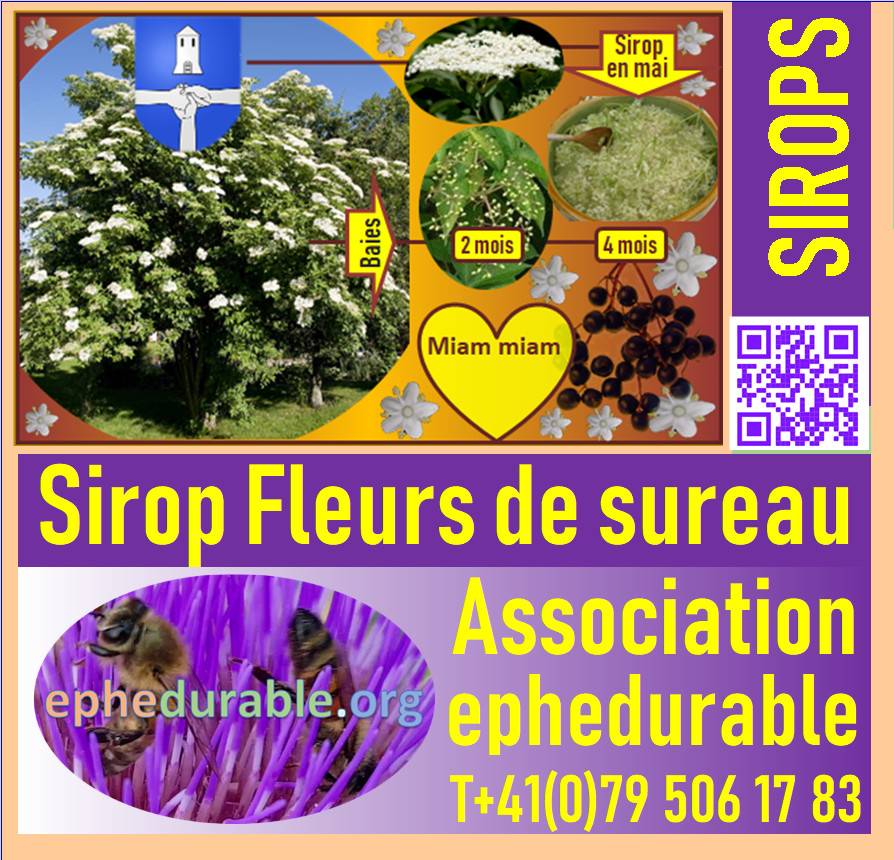 Sirop Fleurs de sureau<br/>Bouteille de 1 Dl